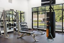 Weight room in clubhouse